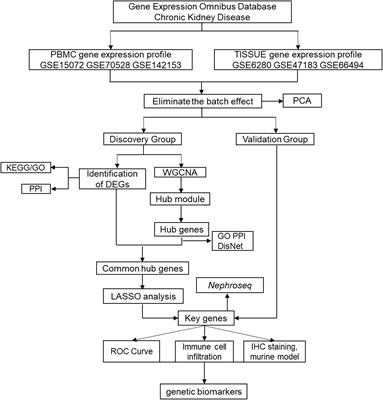 An integrated co-expression network analysis reveals novel genetic biomarkers for immune cell infiltration in chronic kidney disease